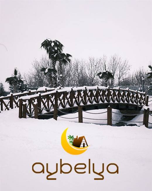 sss-banner-kis-2-520x654